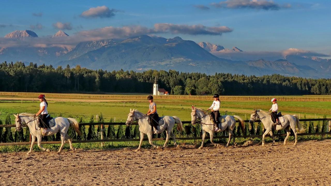 Hotel Baron Smlednik Екстер'єр фото
